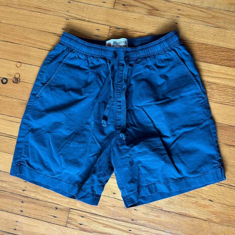 Mollusk summer short